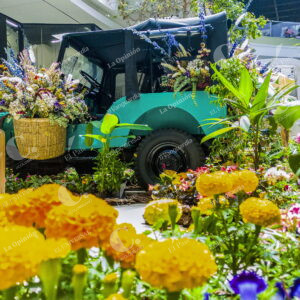 Turismo en feria de flores