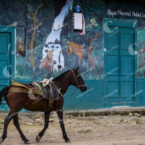 Caballo