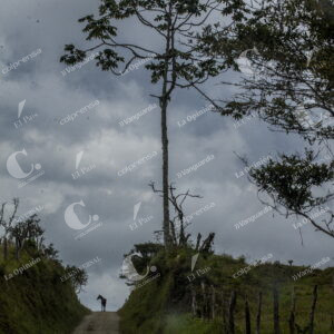 La Encarnación