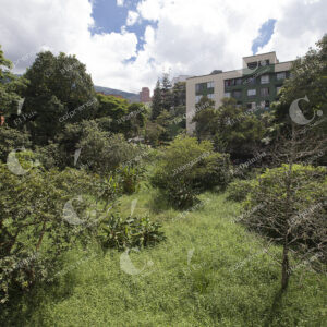 Naturaleza