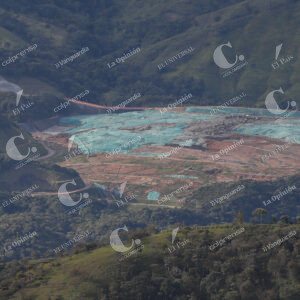Pradera