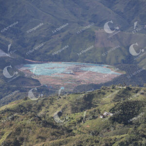 Pradera