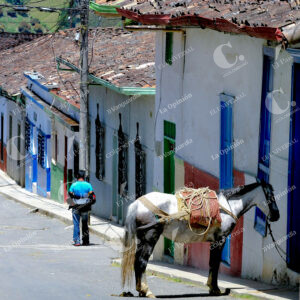 Caballo