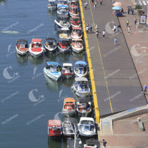 MUELLE (1)