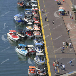 MUELLE (14)