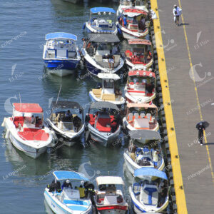 MUELLE (16)