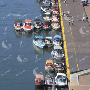 MUELLE (2)